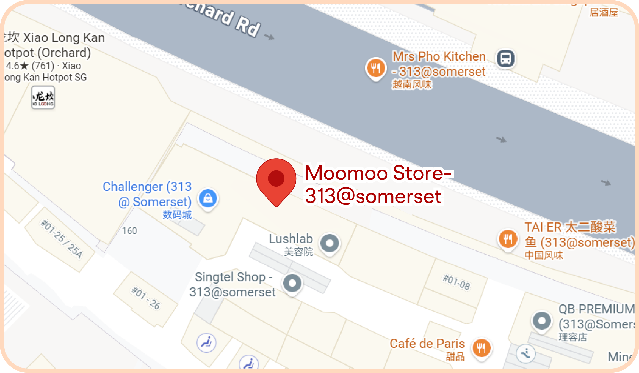 Moomoo Store - 313@somerset