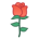 [Rose]