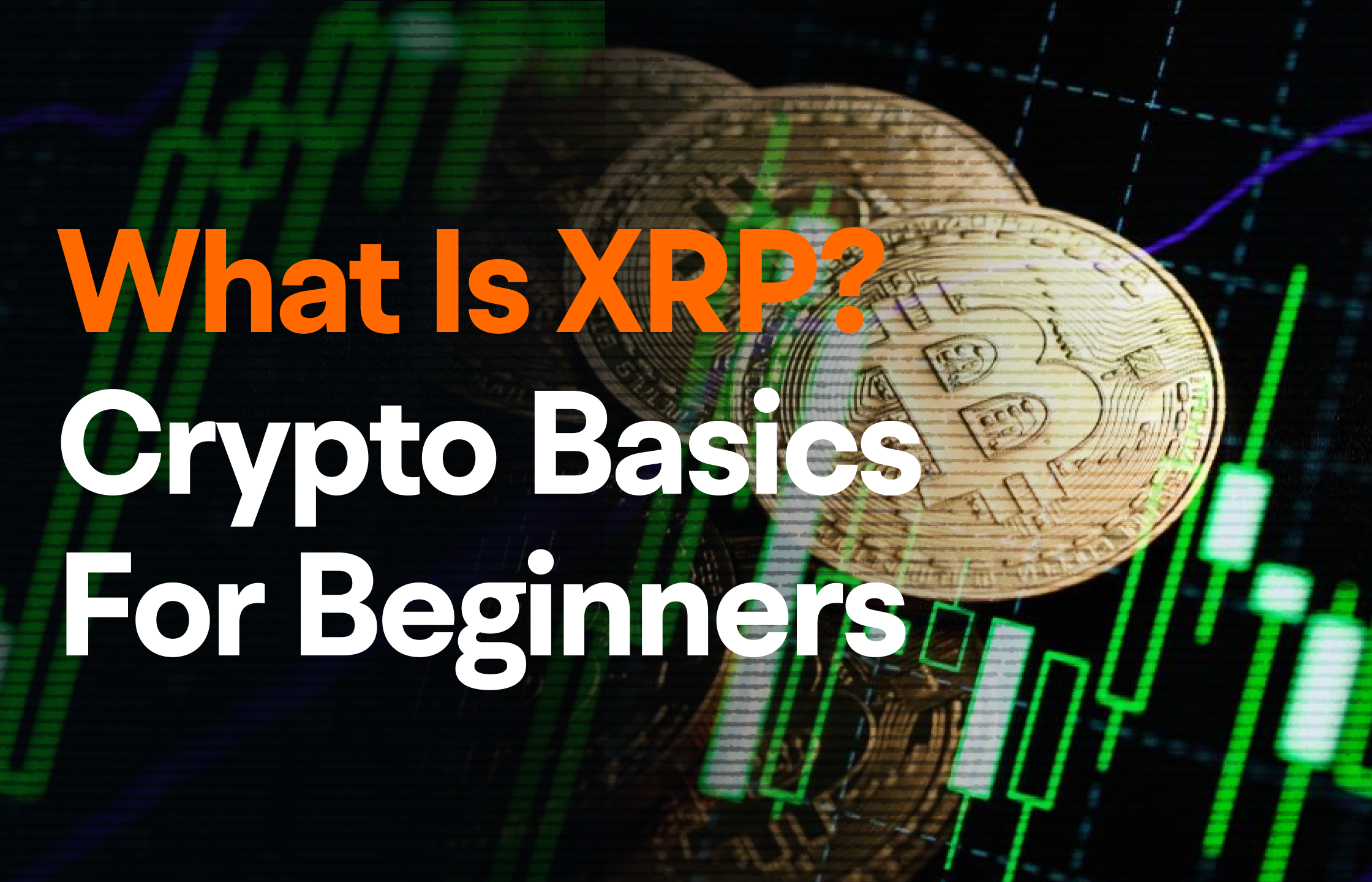 XRP란 무엇입니까? 싱가포르 초보자를 위한 암호화폐 기초